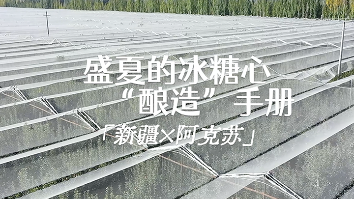 封面.png