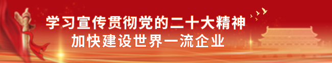 学习宣传贯彻党的二十大精神的决定