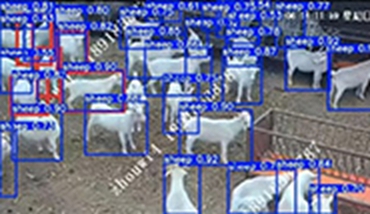 零代码，拖拽式开发，小时级产出——AI视觉开发从未如此简单